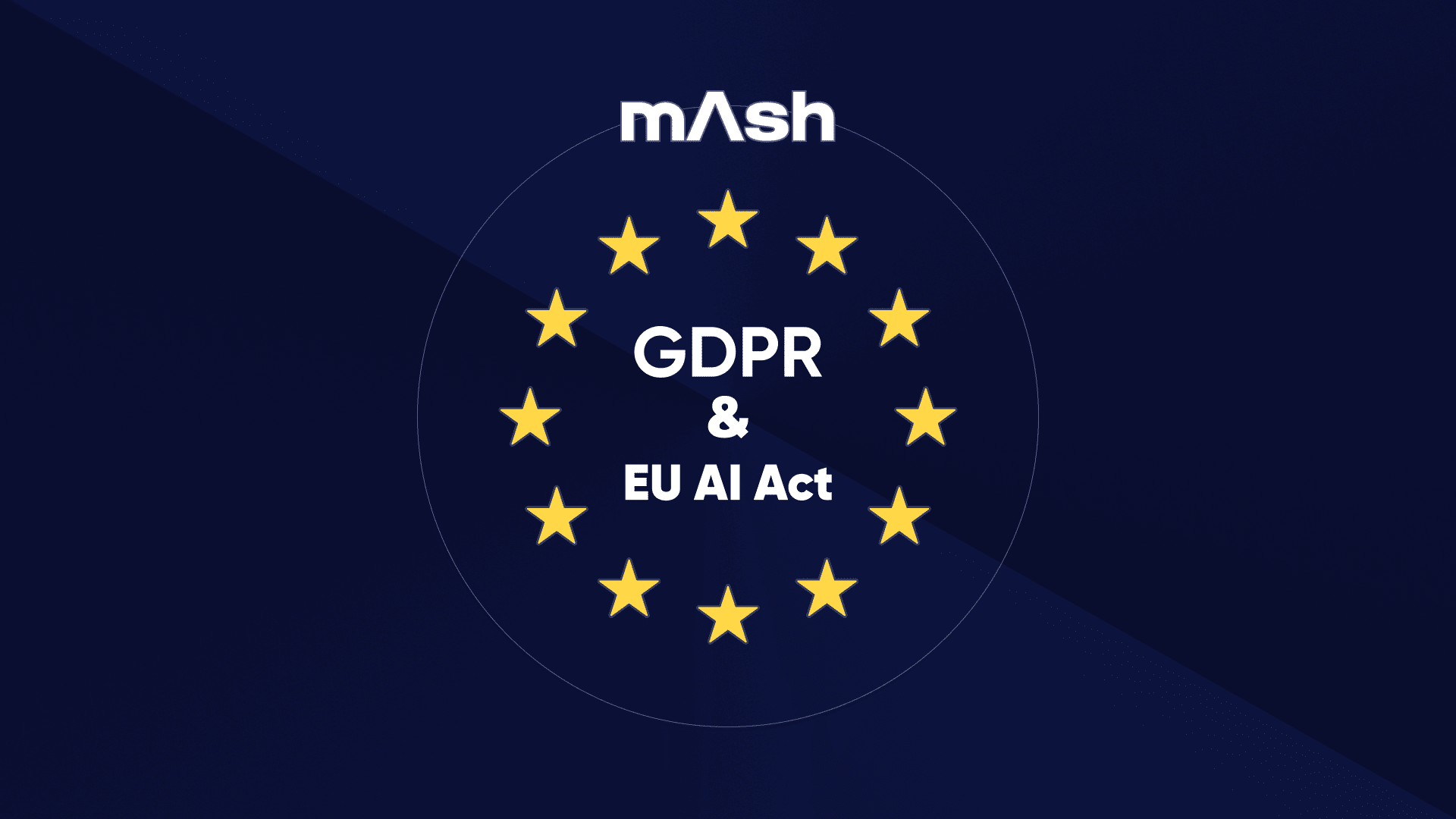 영상처리 AI 솔루션 ‘매쉬’, 유럽연합 GDPR-AI ACT 준수 선언