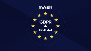 영상처리 AI 솔루션 ‘매쉬’, 유럽연합 GDPR-AI ACT 준수 선언