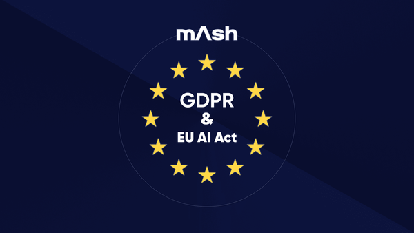 영상처리 AI 솔루션 ‘매쉬’, 유럽연합 GDPR-AI ACT 준수 선언